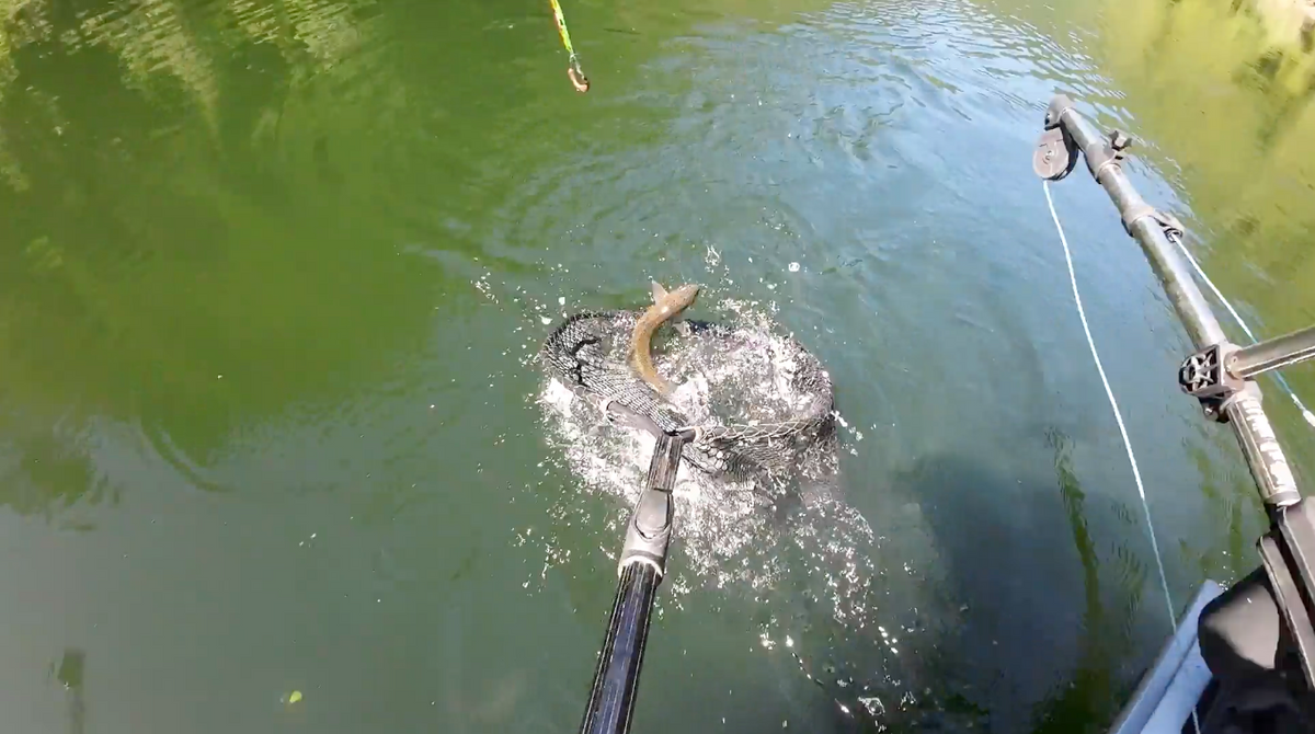 May 26 Fishing Report - Bullards Bar Reservoir