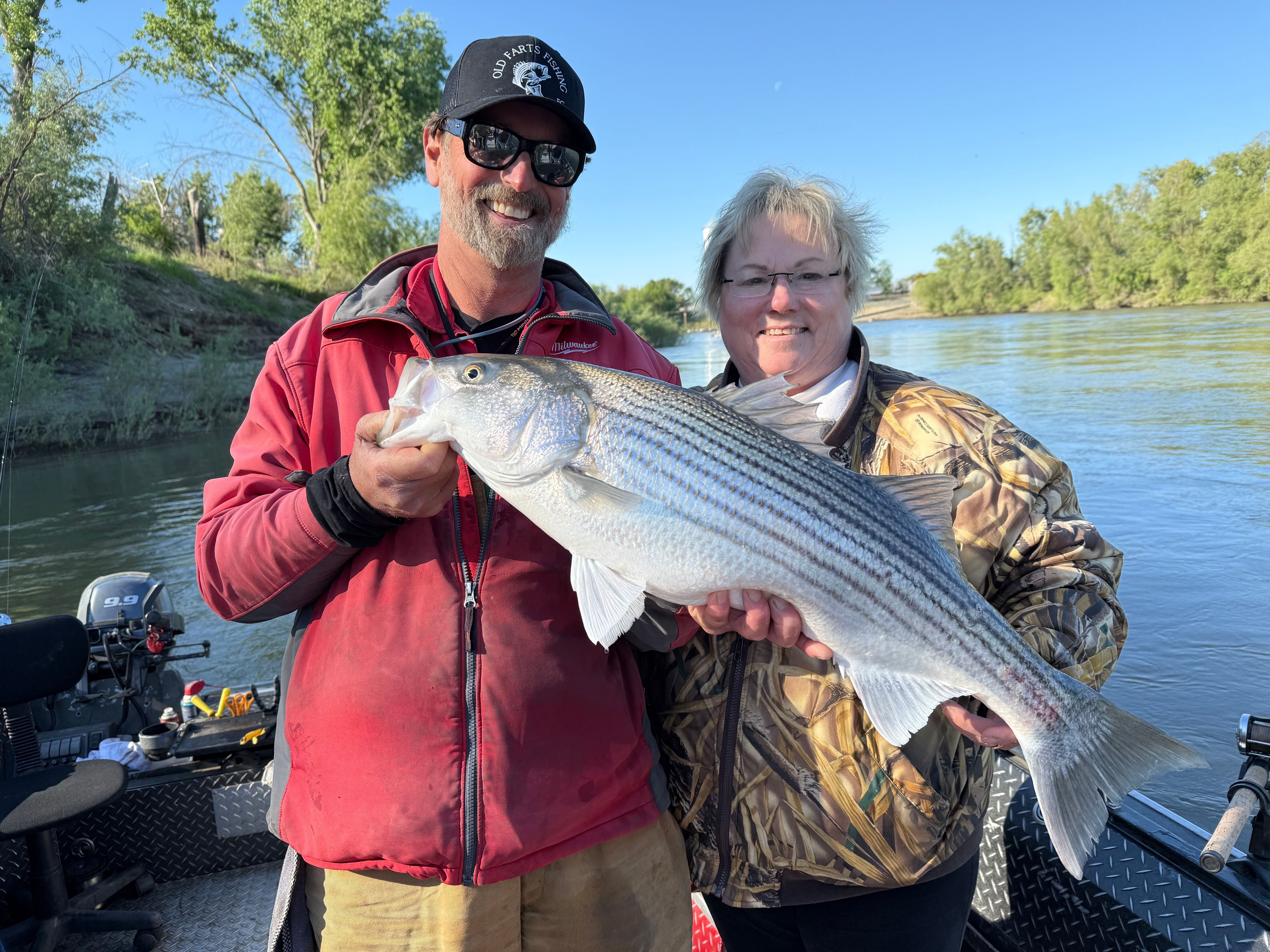 Spring Fishing Frenzy: Easy Wins for Trout, Stripers & Kings in California Waters