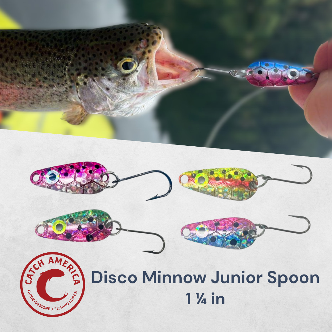 dancing minnow fishing lure Chaos Tackle Mini Tap Dancer Glide Bait pack contains (12) bodies. GFIN DANCER Premium