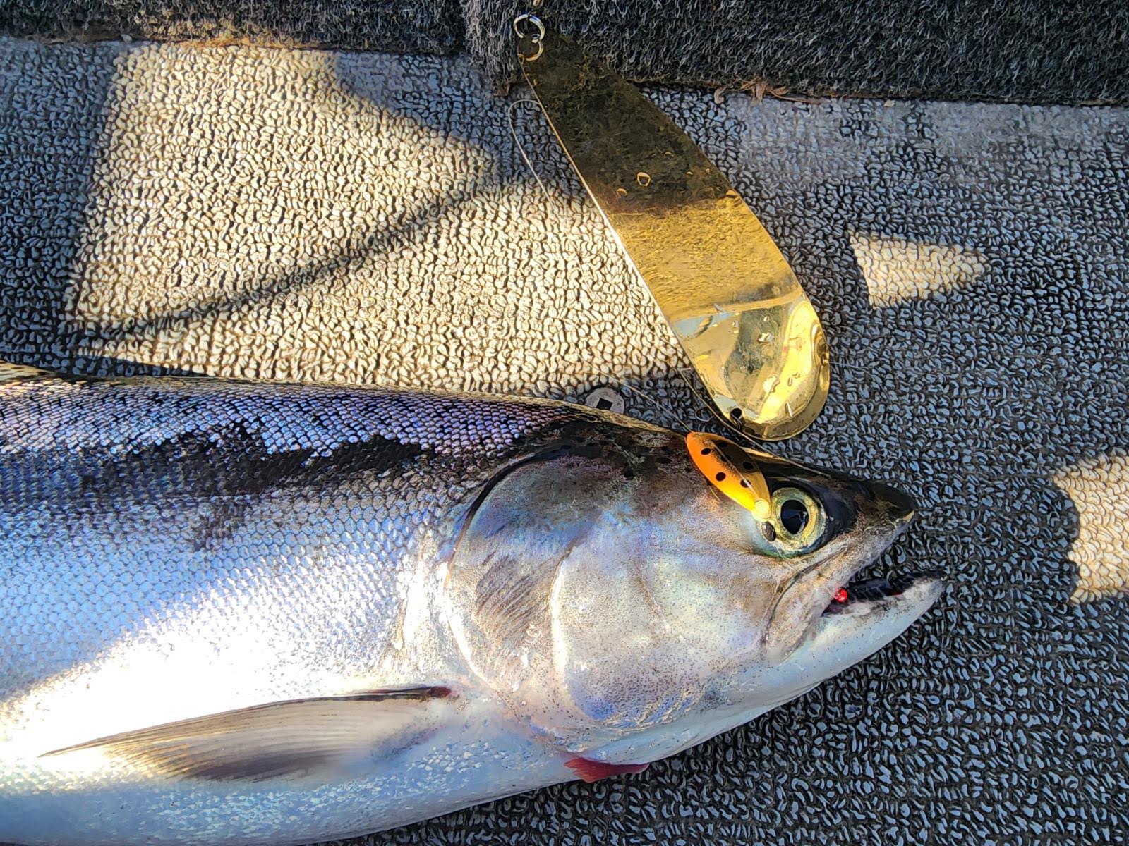 Lake Berryessa Fishing Report | July 28, 2025