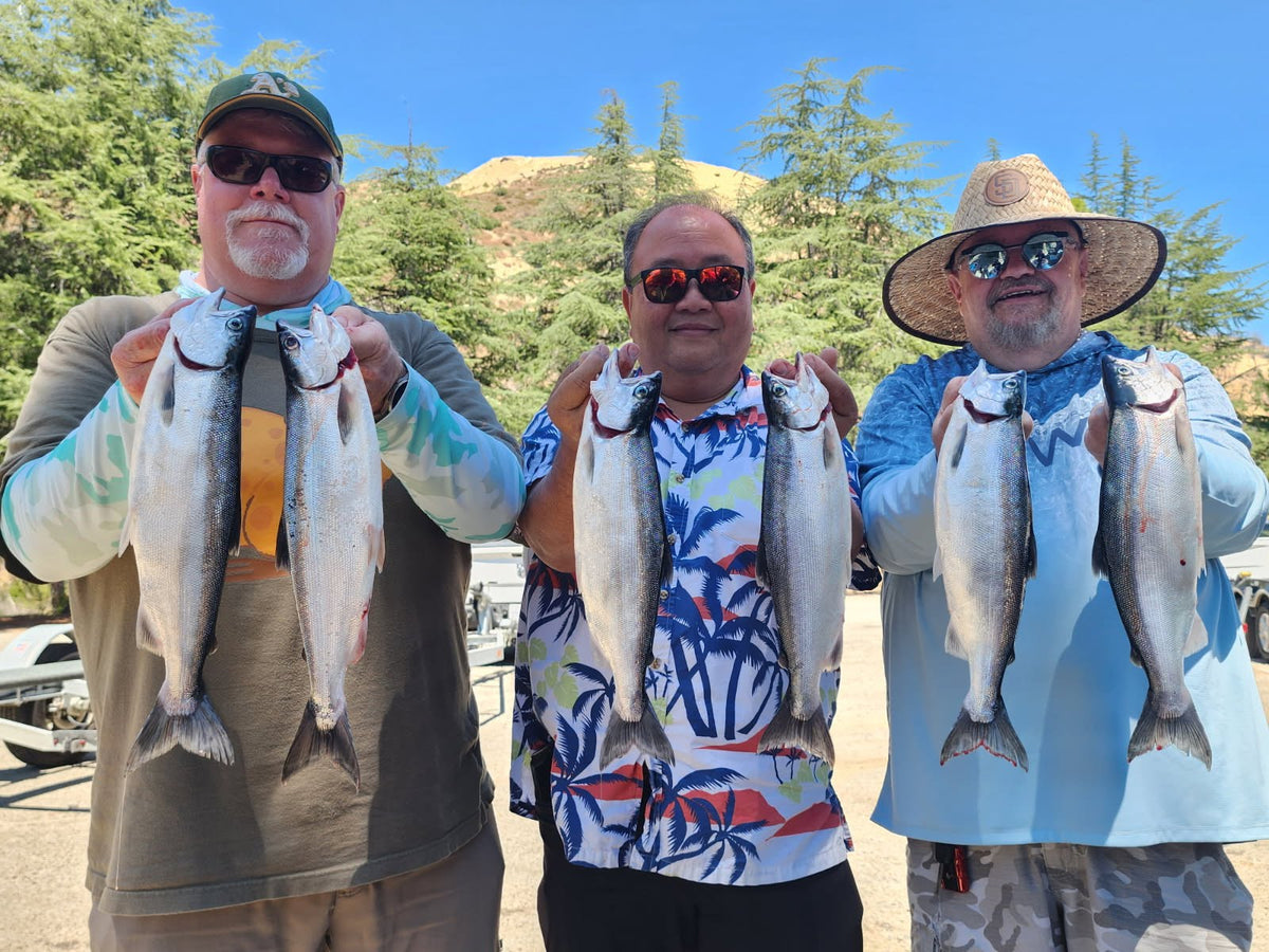 Lake Berryessa Fishing Report