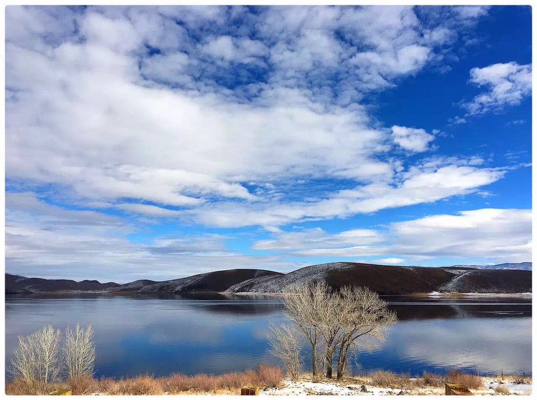 Bridgeport Reservoir Fishing Report | June 16