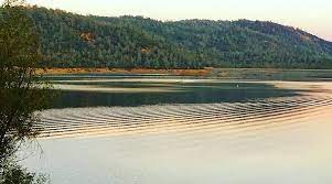 Collins Lake Fishing Report | June 16