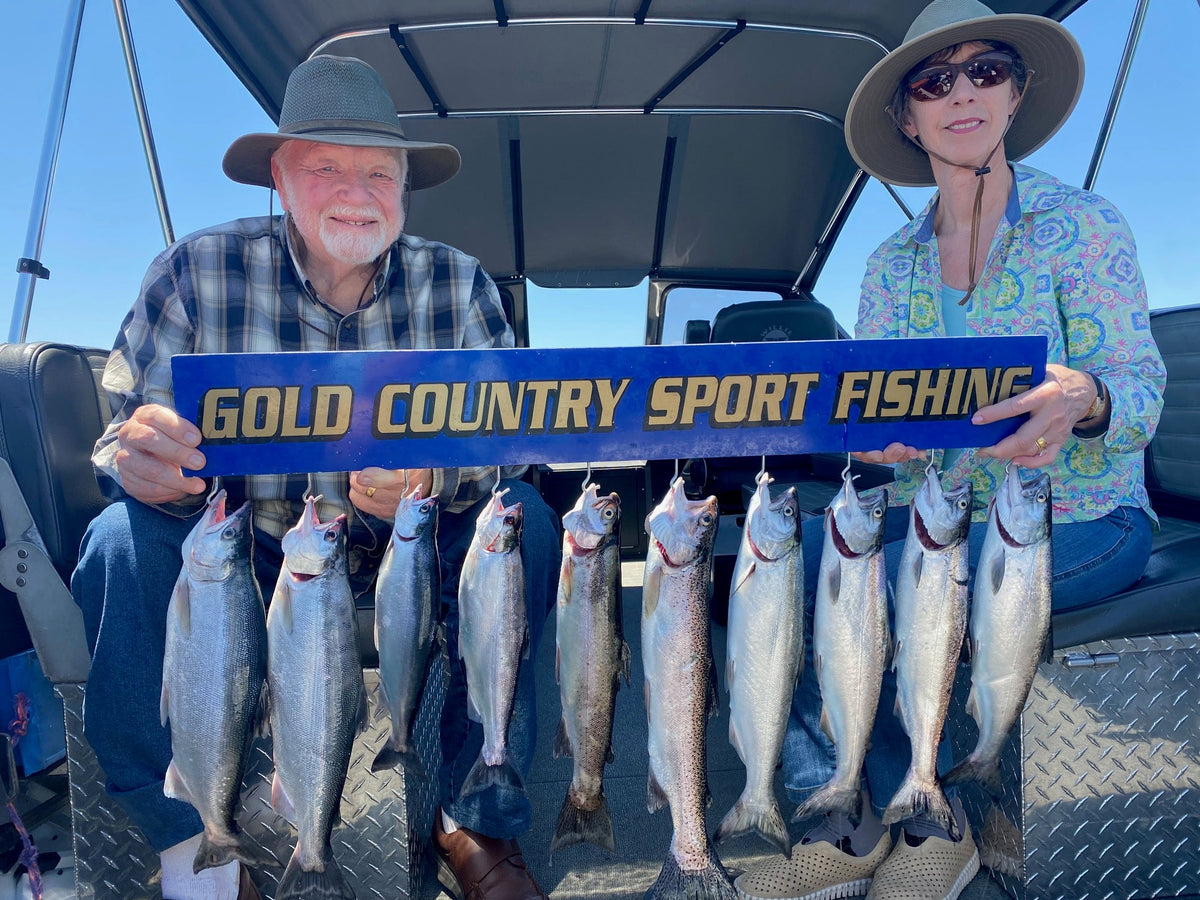 Don Pedro Lake Fishing Report