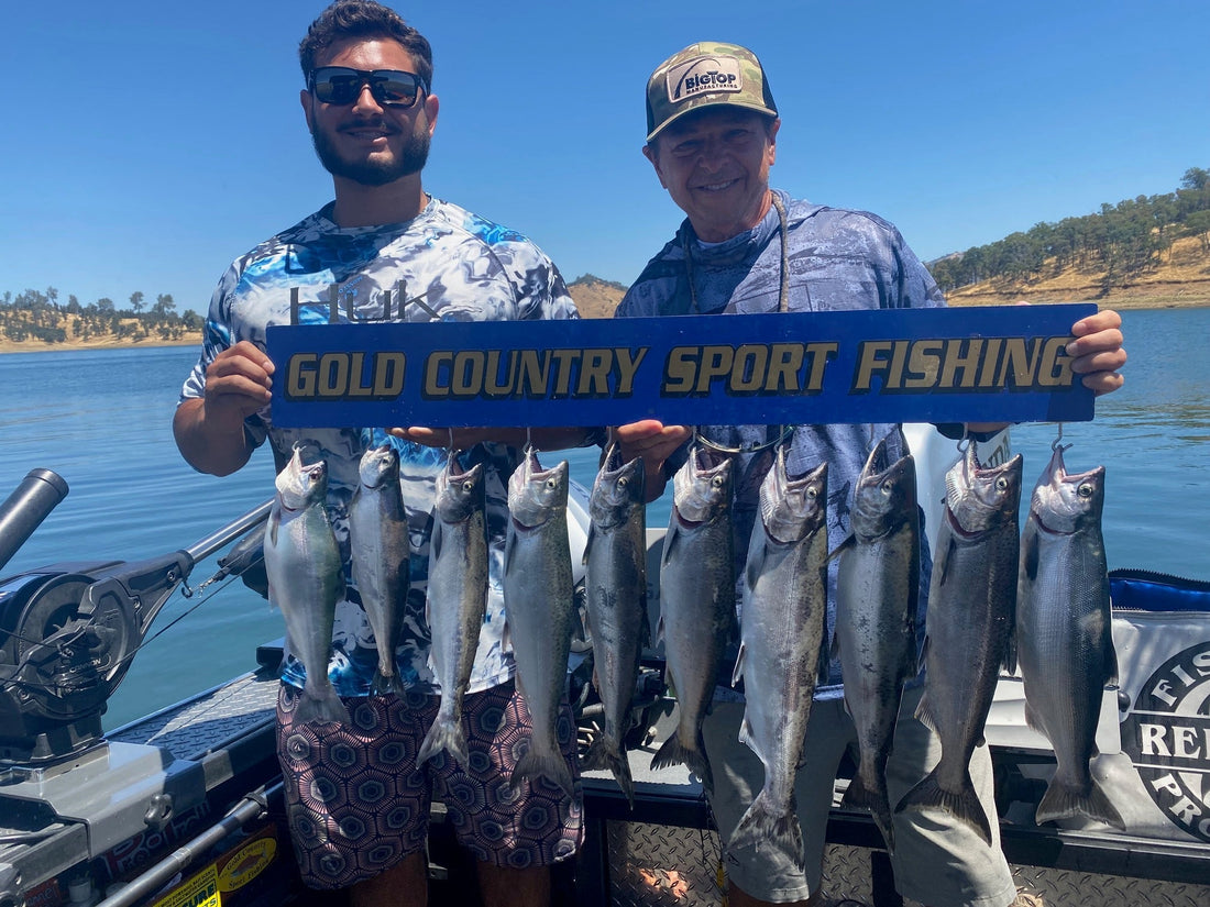 Don Pedro Lake Fishing Report | July 14, 2025