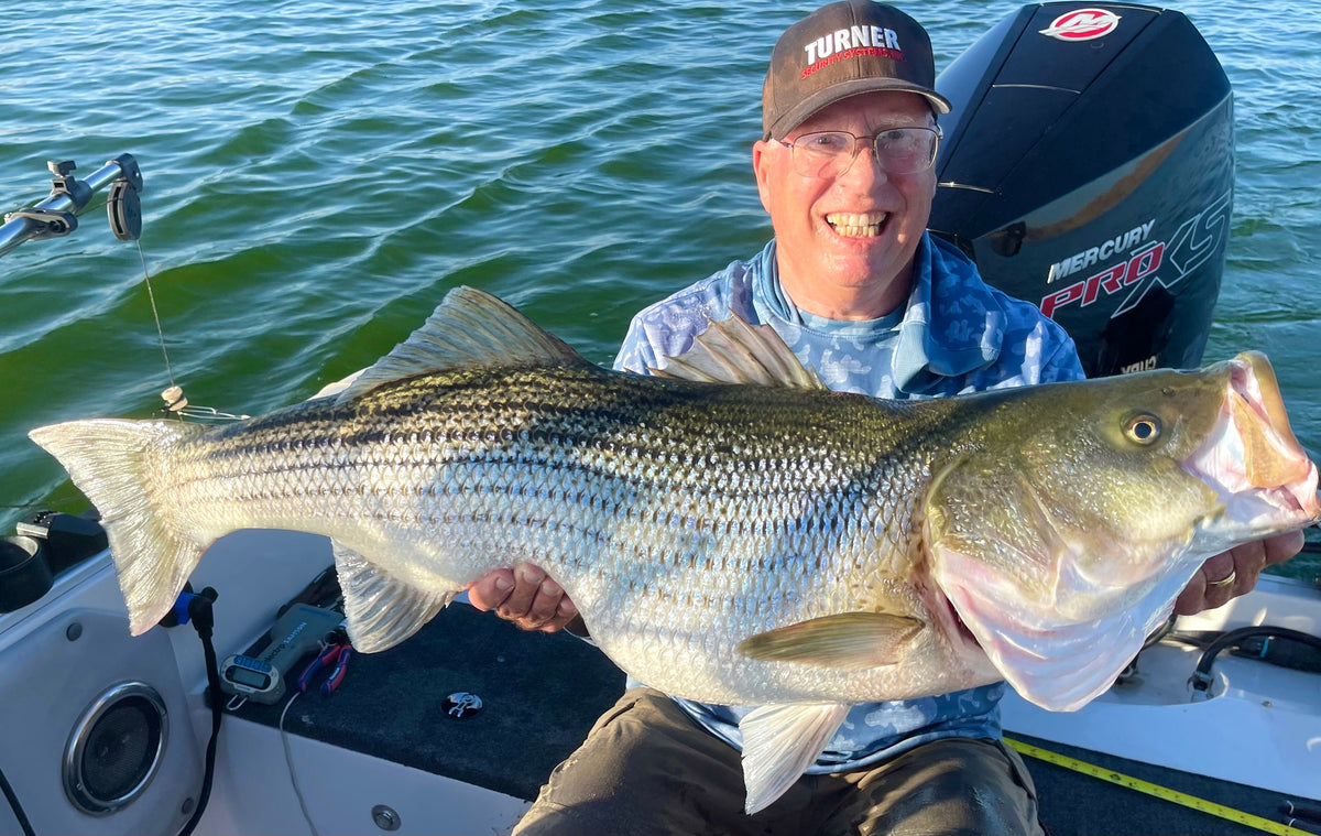 San Luis Fishing Report