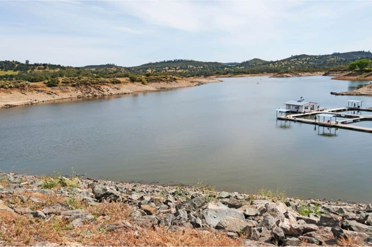 Lake Amador Fishing Report | June 16