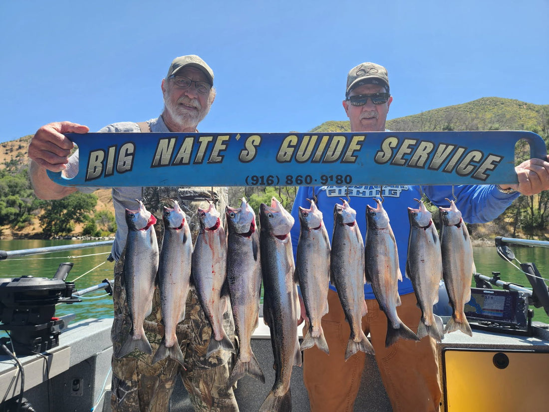 Lake Berryessa Fishing Report | June 16