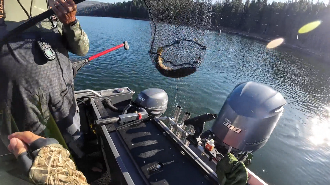 Lake Almanor Fishing Report | July 14, 2025