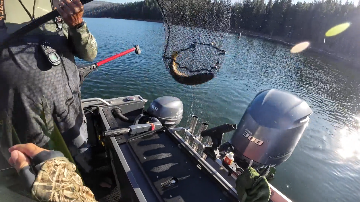 Lake Almanor Fishing Report | July 14, 2025