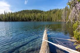 Upper Twin Lakes Fishing Report | June 16
