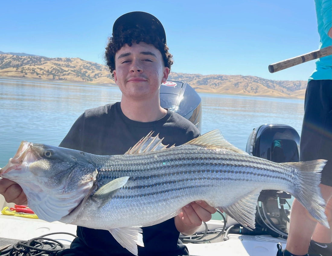 San Luis Fishing Report | June 30