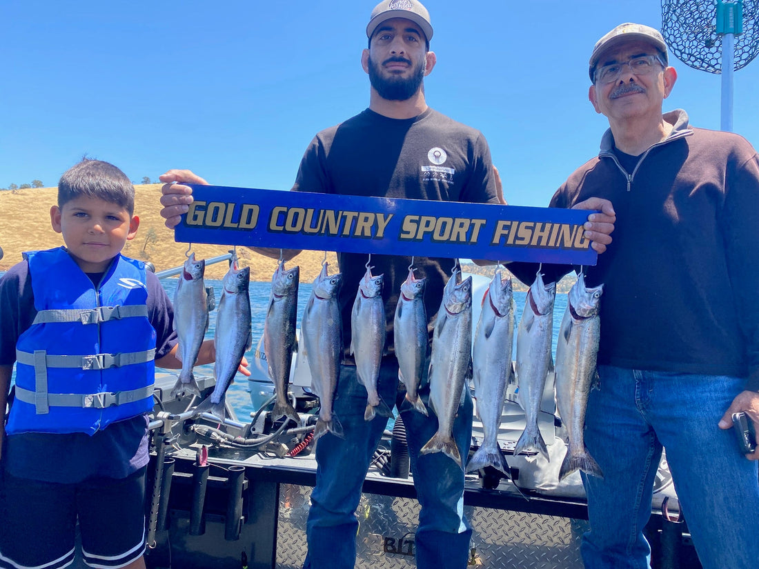 Don Pedro Fishing Report | June 23