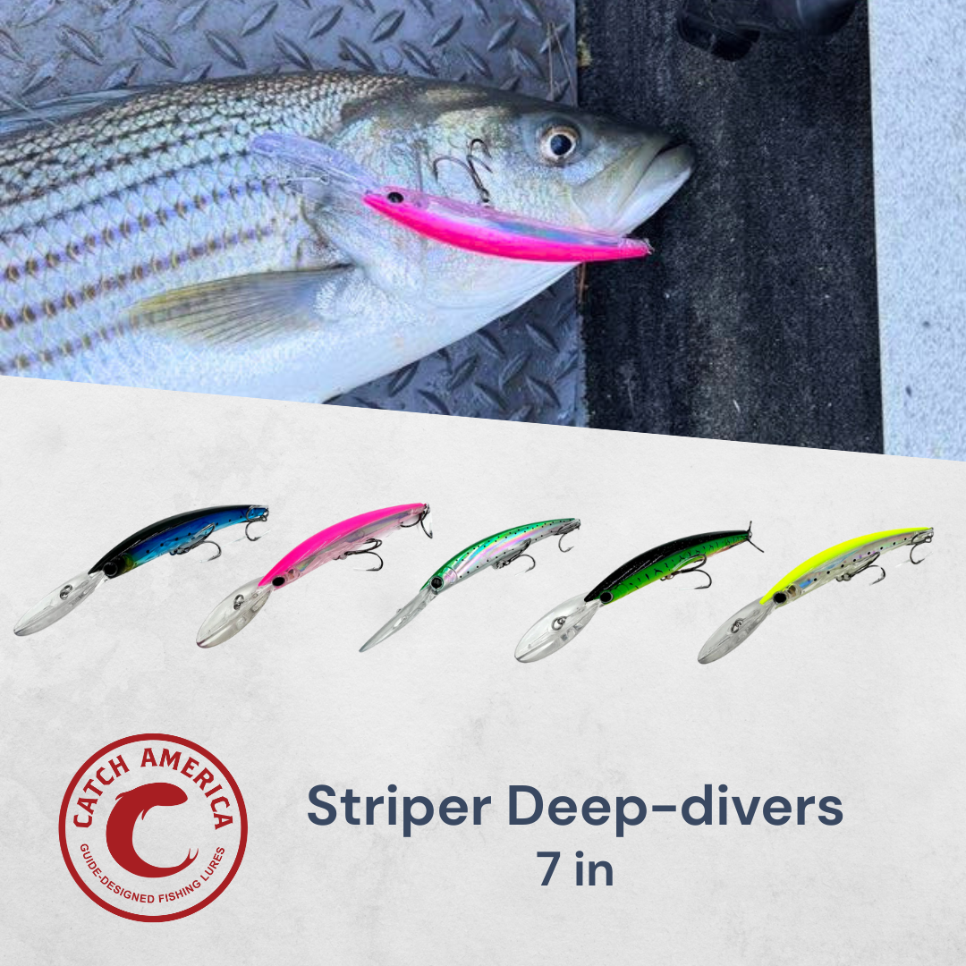 Striper Deep-divers