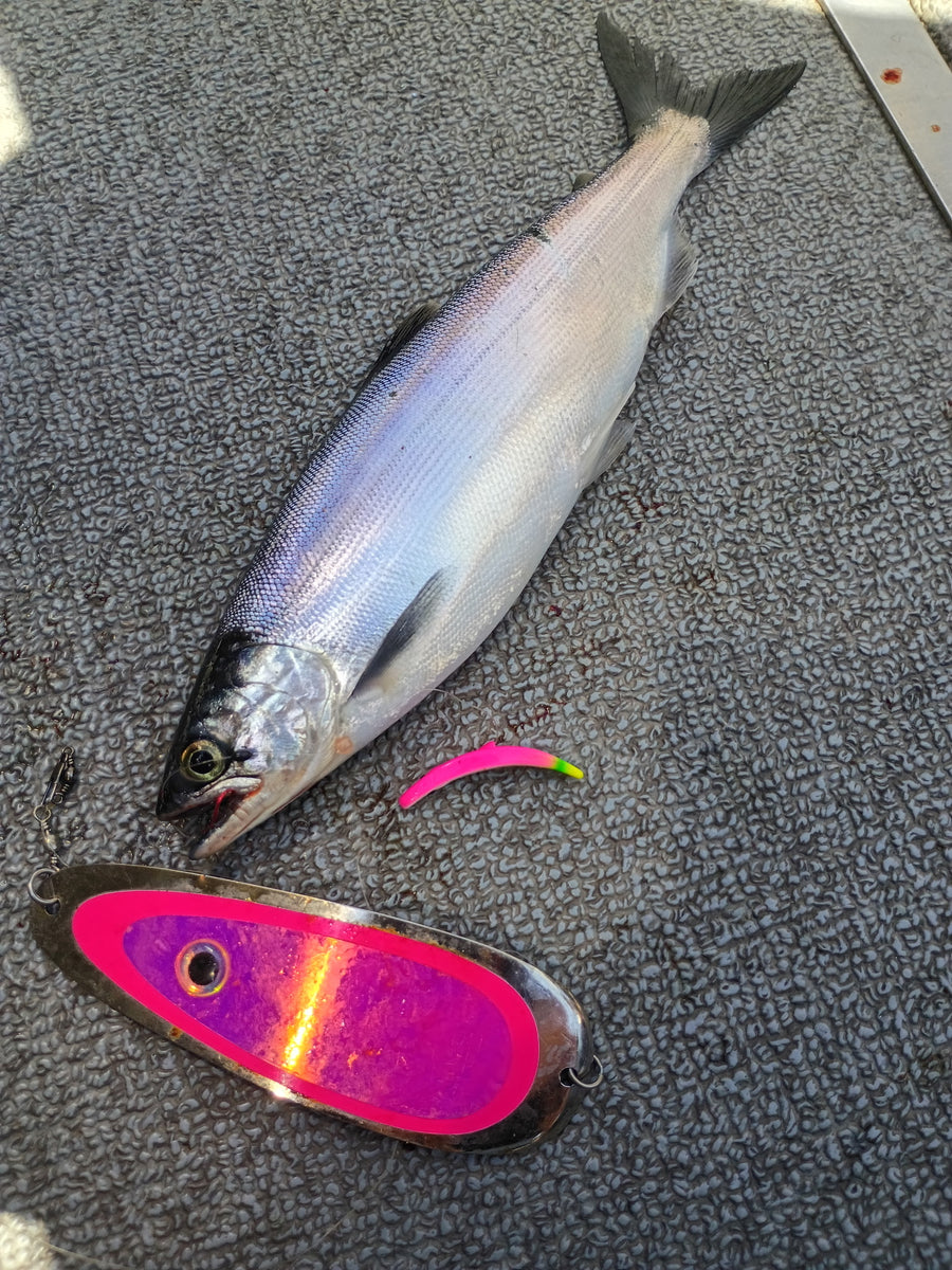 Add Roll, Flash & Kick To Your Kokanee Spread