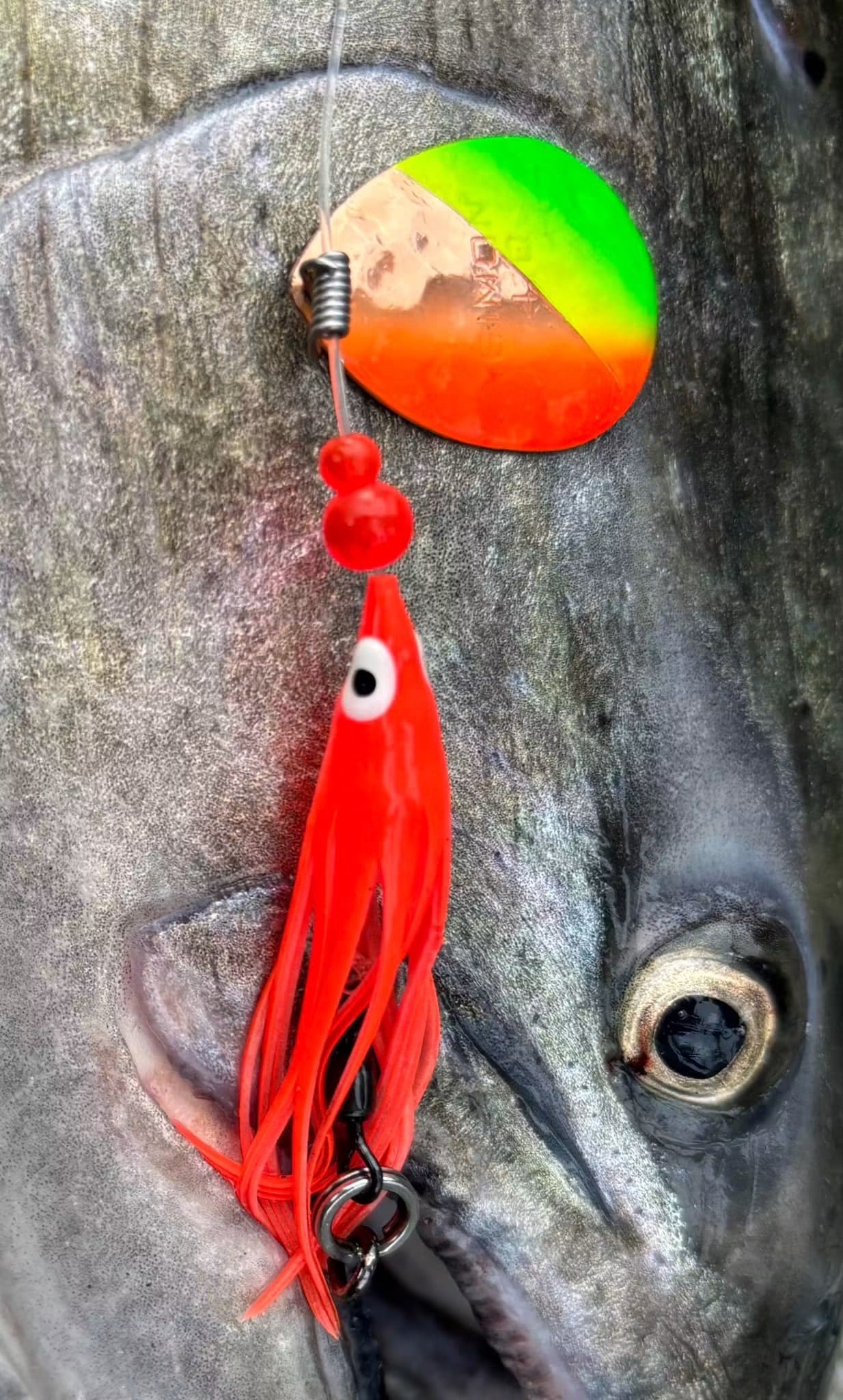 Simon Mono Spinners - Soft Salmon Spinner for king salmon, river salmon, salmon - Catch America product image
