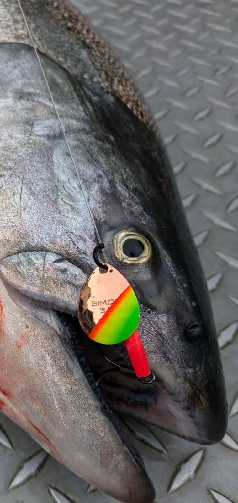 Simon Mono Spinners - Soft Salmon Spinner for king salmon, river salmon, salmon - Catch America product image