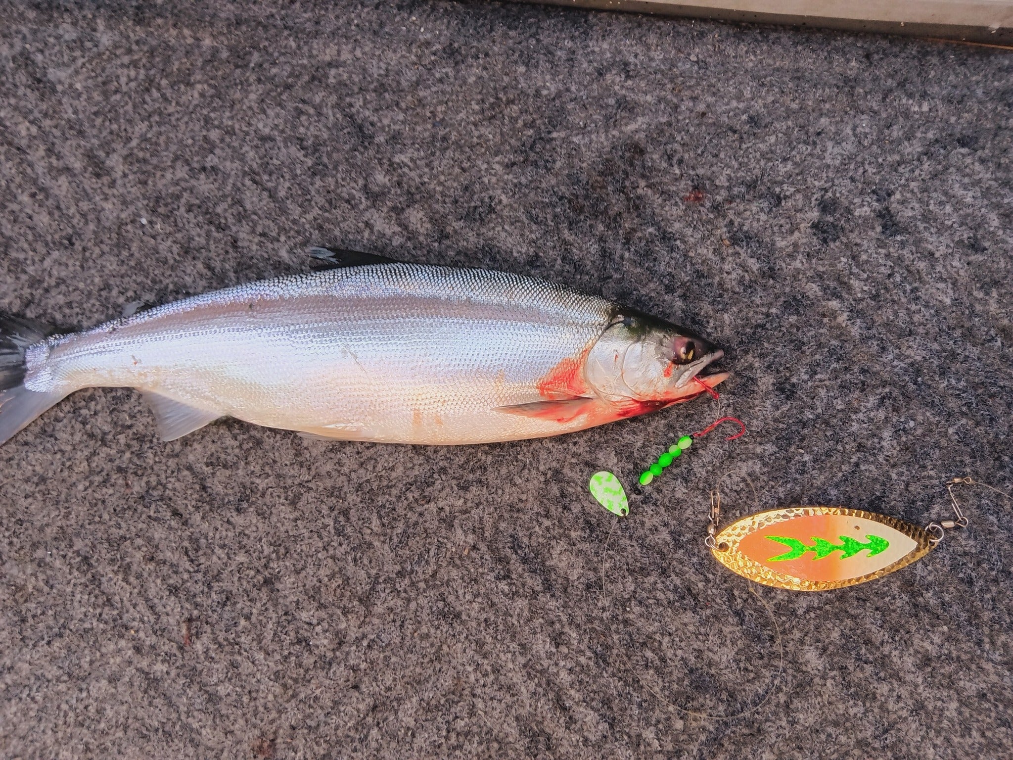 Uncle Larry's UV Glow Tiger Spinners