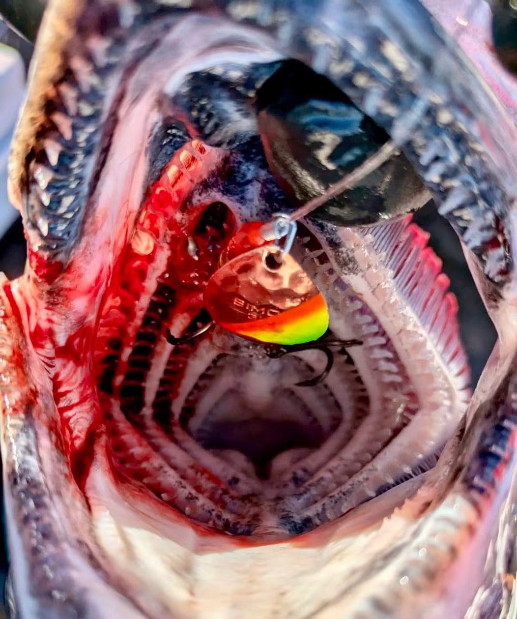 Simon Mono Spinners - Soft Salmon Spinner for king salmon, river salmon, salmon - Catch America product image