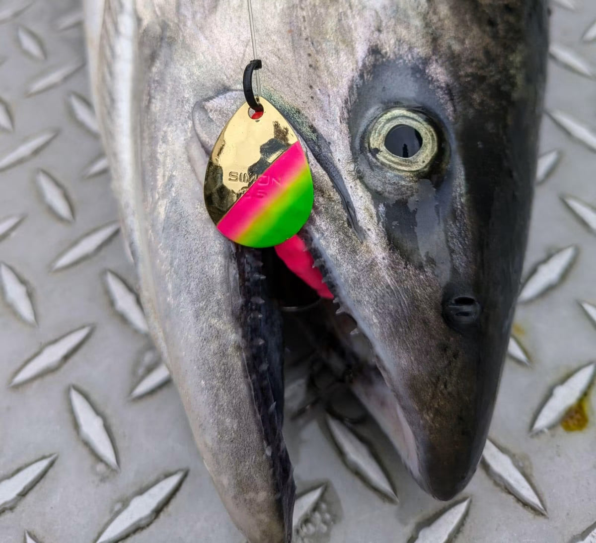 Simon Mono Spinners - Soft Salmon Spinner for king salmon, river salmon, salmon - Catch America product image