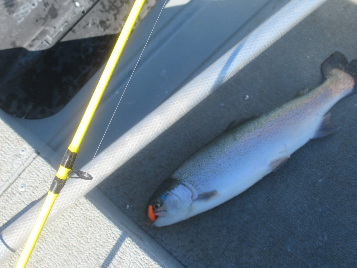 Trix Minnows - 5 pack