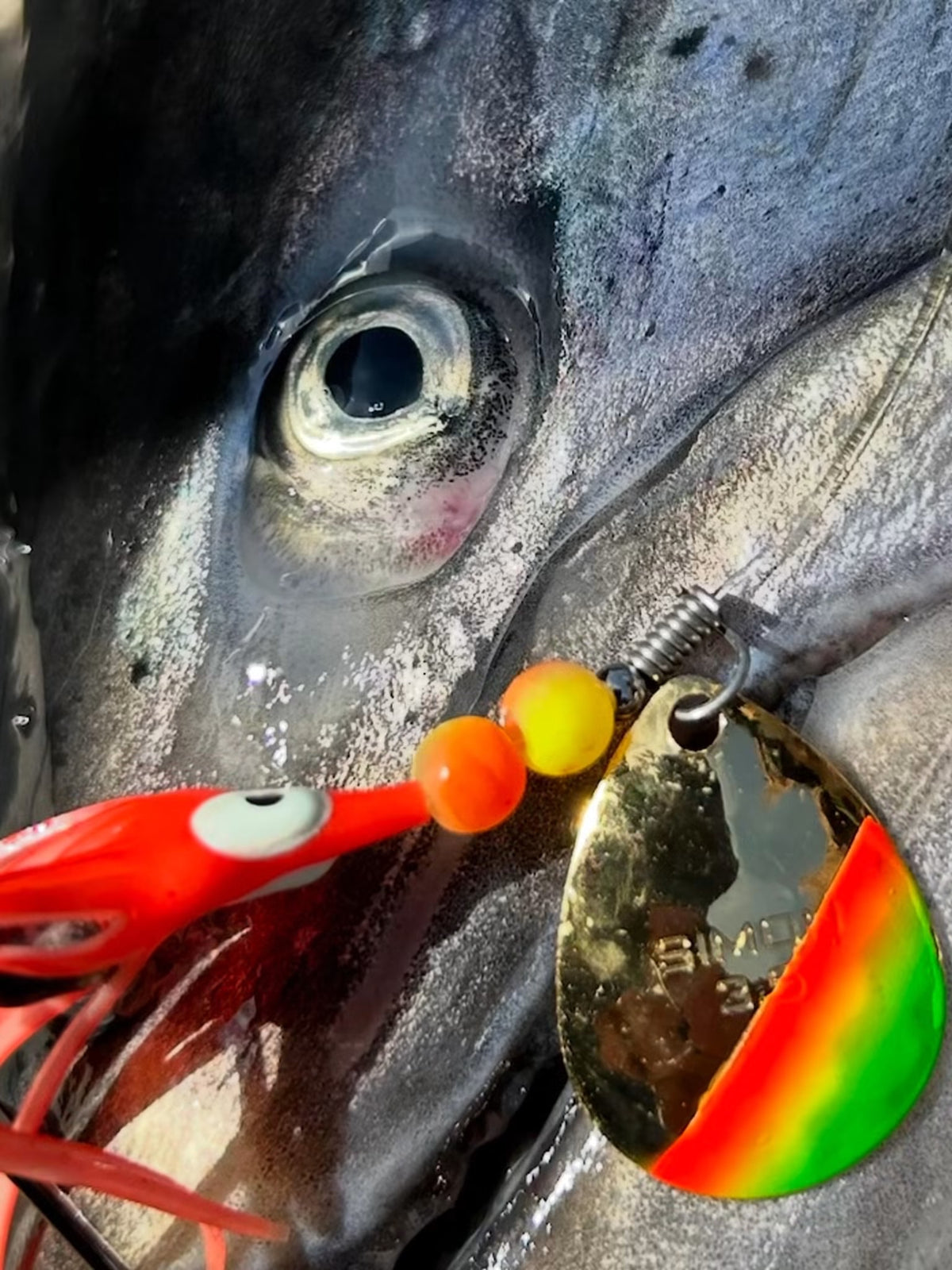 Simon Mono Spinners - Soft Salmon Spinner for king salmon, river salmon, salmon - Catch America product image