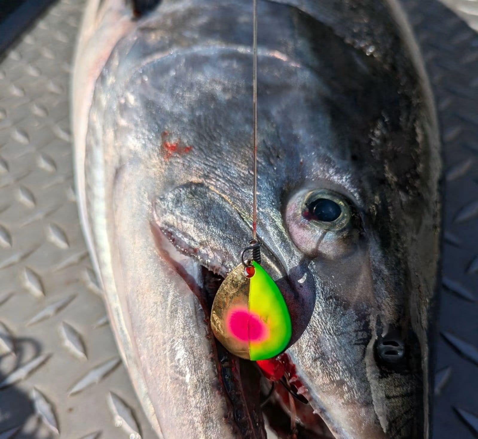 Simon Mono Spinners - Soft Salmon Spinner for king salmon, river salmon, salmon - Catch America product image