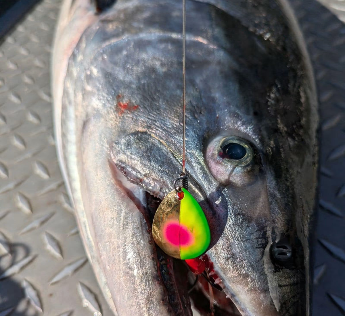 Simon Mono Spinners - Soft Salmon Spinner for king salmon, river salmon, salmon - Catch America product image
