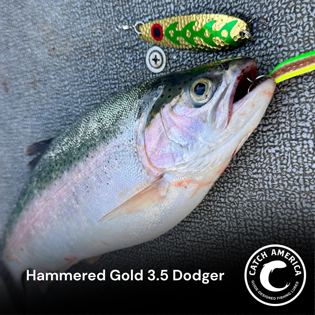 Hammered Gold 3.5" Dodger