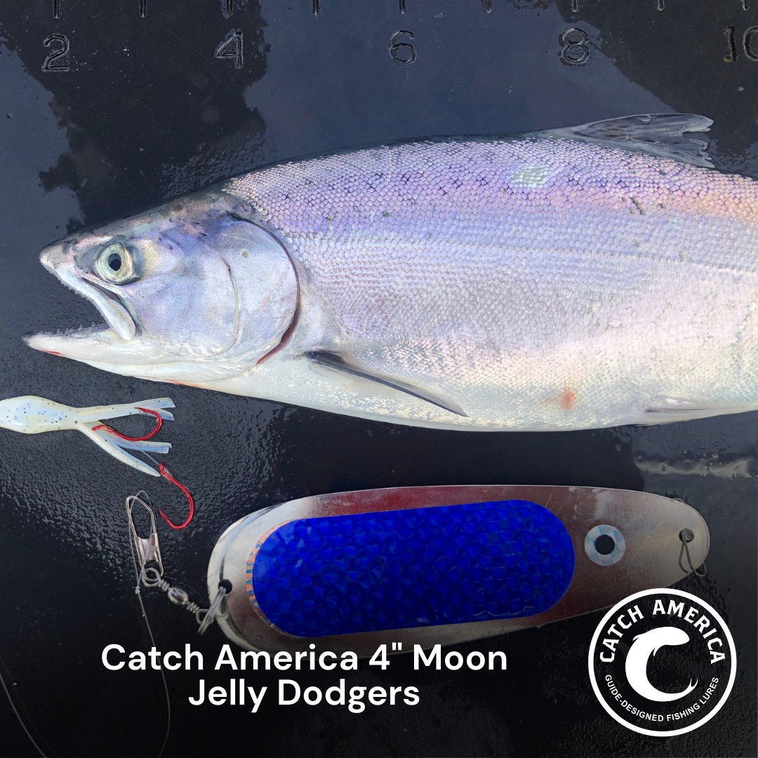 Catch America 4" Moon Jelly Dodgers