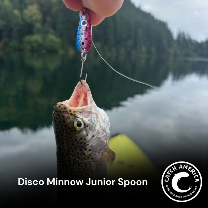 Disco Minnow Junior Spoon - Trout & Salmon for king salmon, salmon, trout - Catch America product image