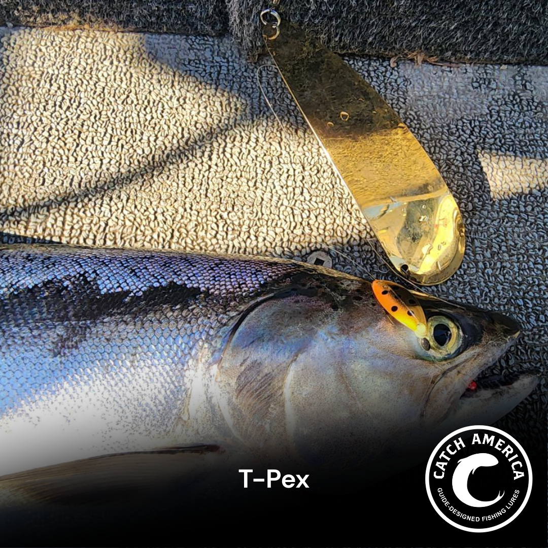 T-Pex TPex Kokanee & Trout Trolling Lure – Catch America T-Pex TPex Kokanee & Trout Trolling Lure – Catch America
