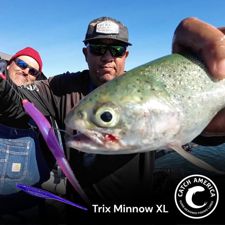 Trix Minnow XL 4" - Trout Soft Bait - 5 Pack for trout - Catch America product image