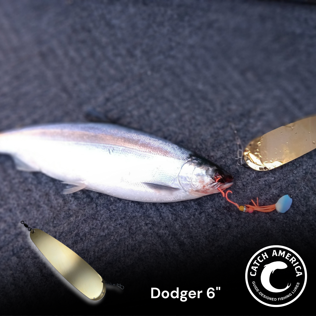 dodger fishing lure CA Trolling Dodger 6" Stainless Steel – Catch America