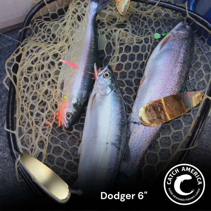 Trolling Dodger 6" - Kokanee & Trout for king salmon, kokanee, landlocked salmon - Catch America product image