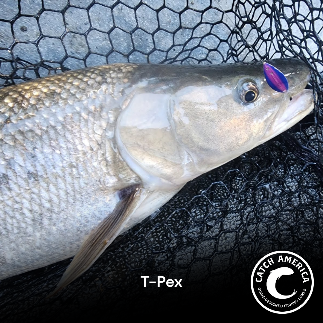 T-Pex TPex Kokanee & Trout Trolling Lure Catch America T-Pex TPex Kokanee & Trout Trolling Lure Catch America