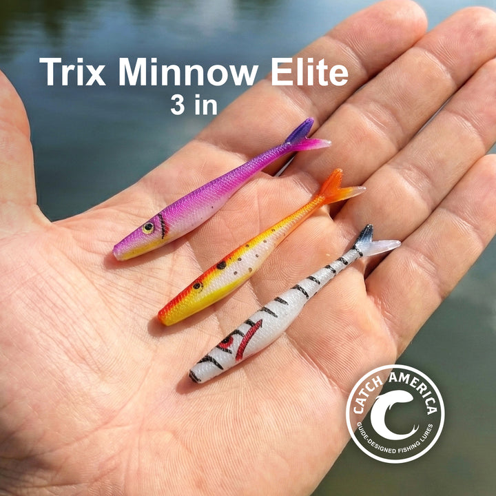 Trix Minnows Elite 3" - Trout Soft Bait - 5 Pack for king salmon, salmon, trout - Catch America product image