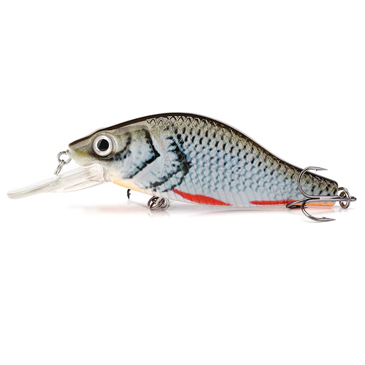 Panic Shad Hard Bait in Blueback Shiner / 2", Blueback Shiner / 2.75" for bass, trout - Catch America product image