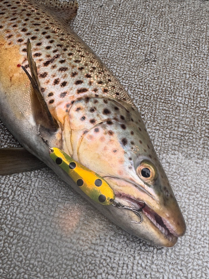 Junior Optimizer 2.25" - Slimline Trolling Spoon for king salmon, landlocked salmon, salmon - Catch America product image