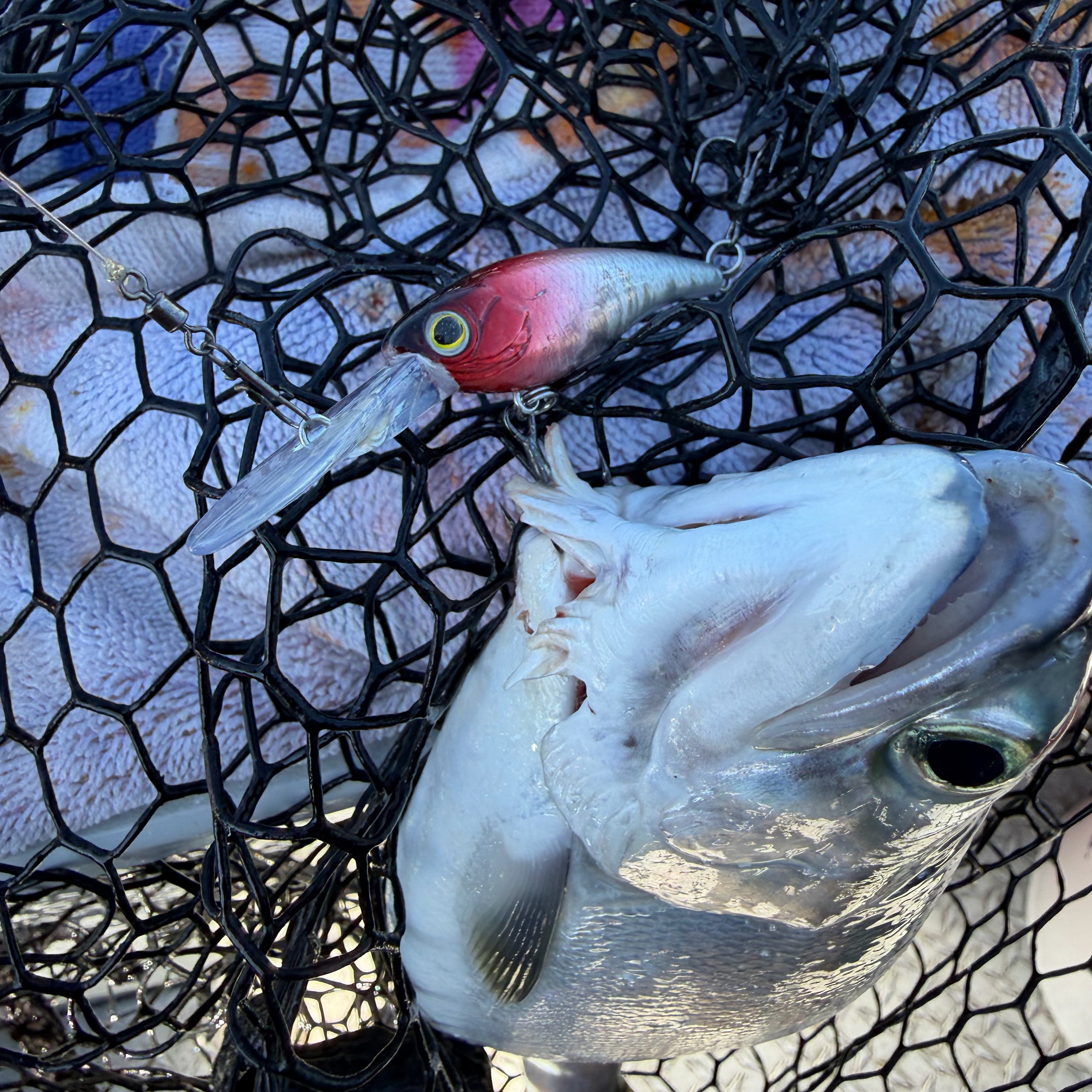 Trigger Shad™ Diving Plug