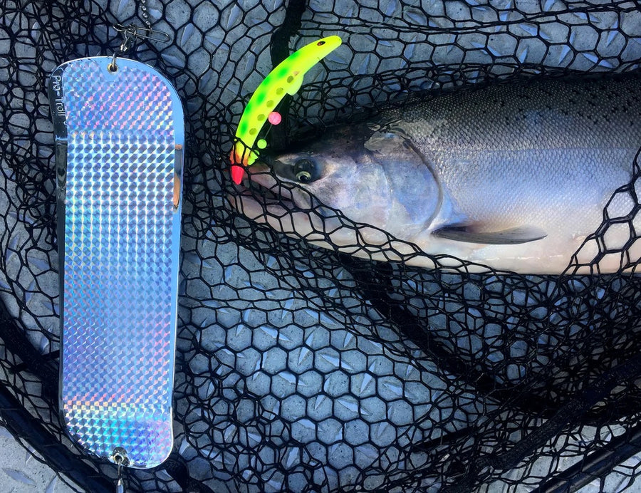 Flashers, Releases & Bumpers