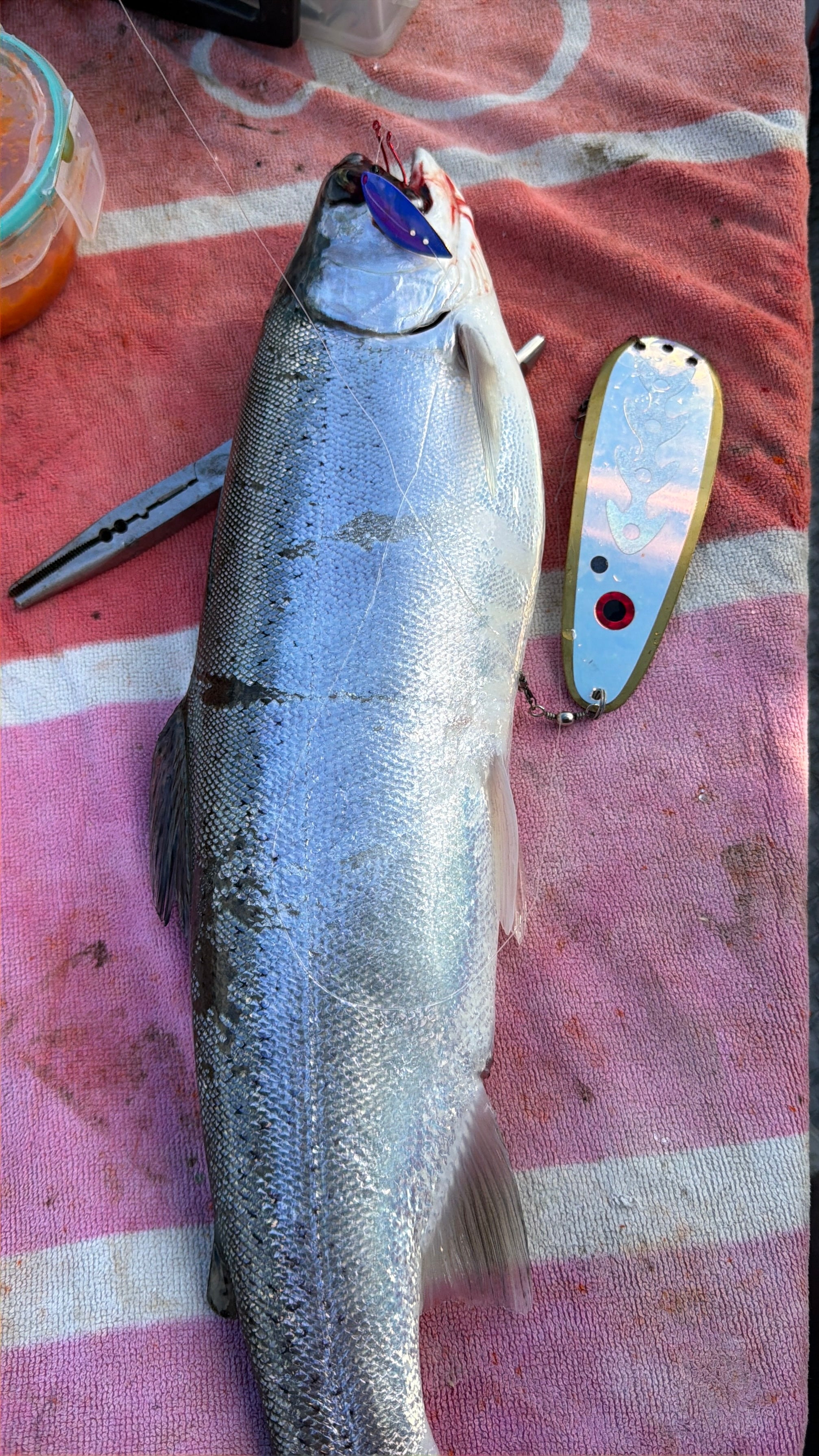 X-Pex 1.75" - Kokanee & Trout Trolling Lure