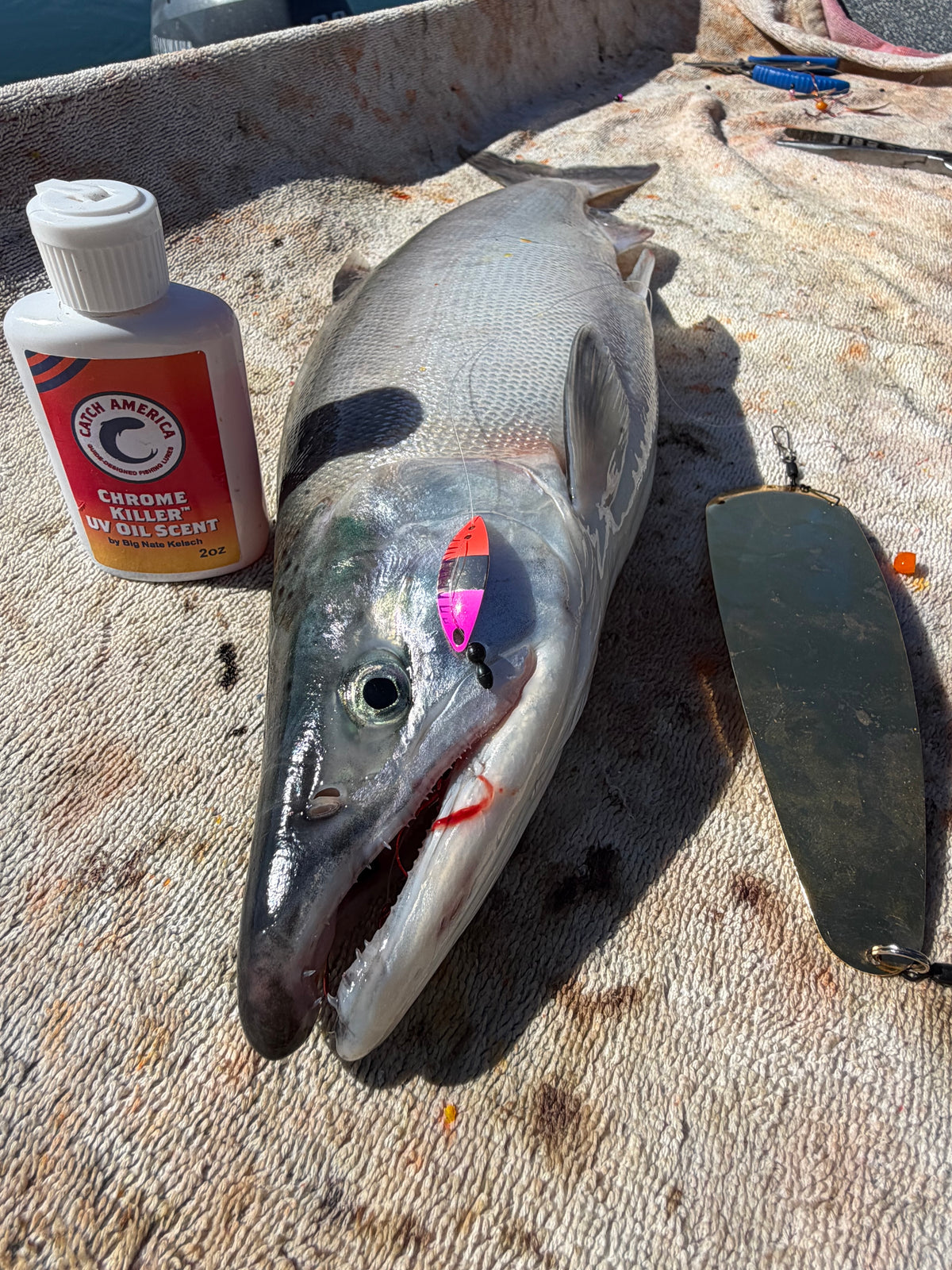 T-Pex 1" - Kokanee & Trout Trolling Lure