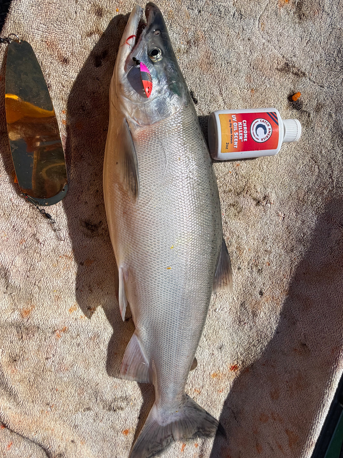 T-Pex 1" - Kokanee & Trout Trolling Lure
