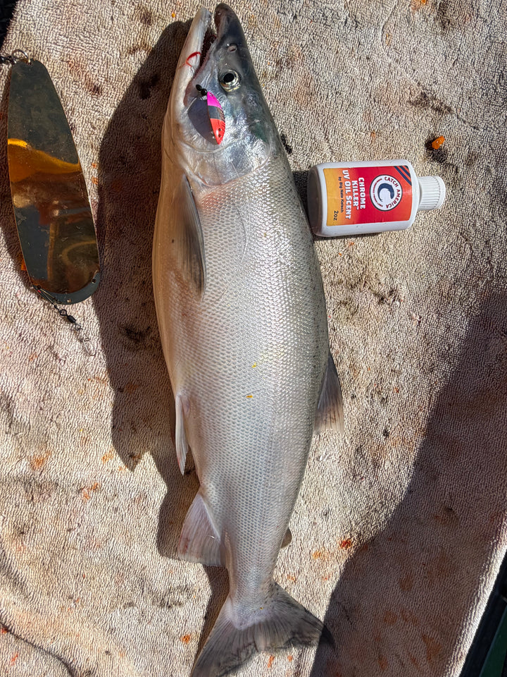T-Pex 1" - Kokanee & Trout Trolling Lure