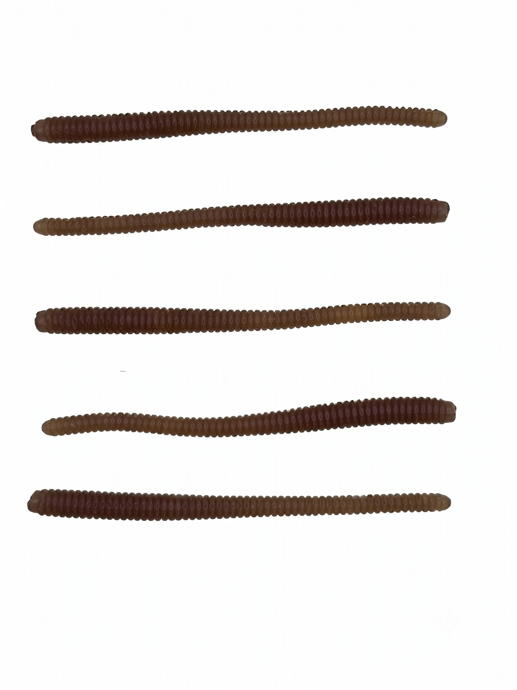 Trix Worms - Trout Soft Bait 5 Pack