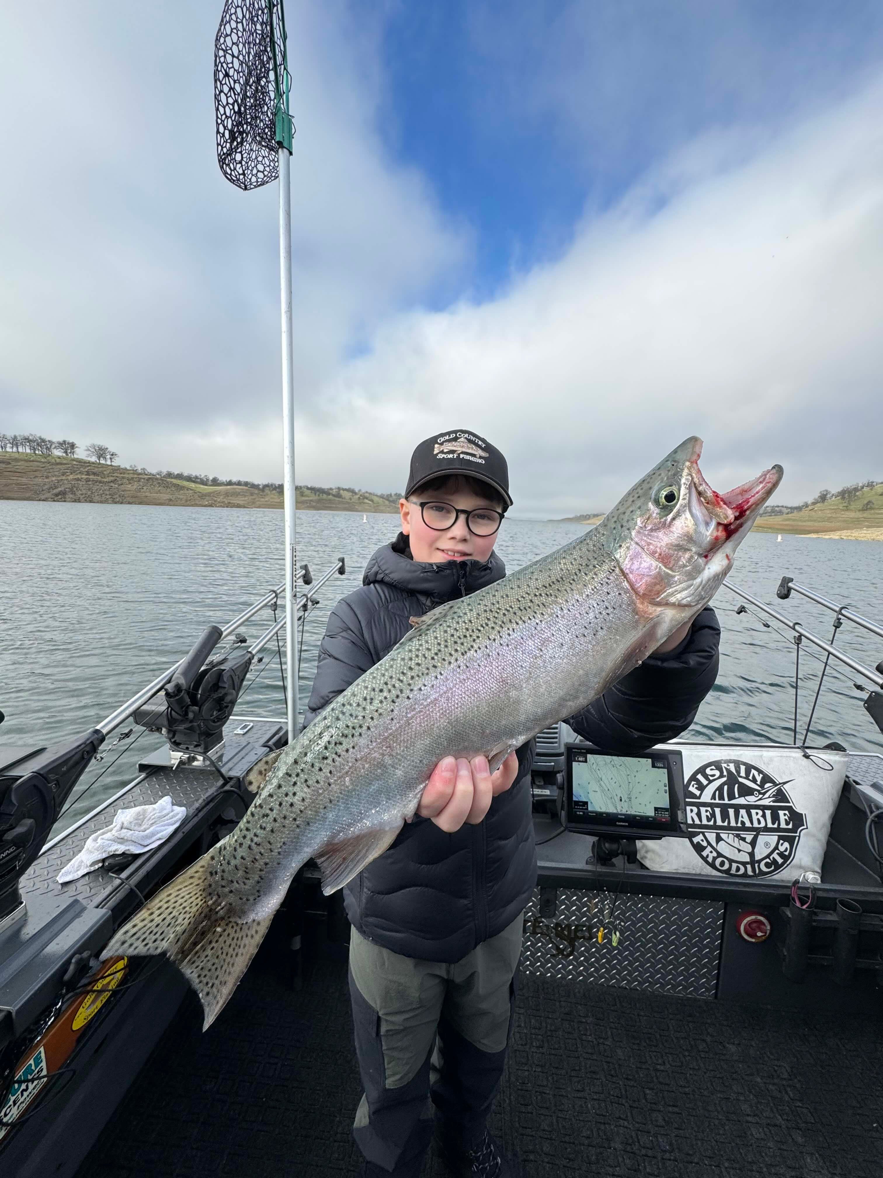 Anchovy Bait Head - 2 Pack