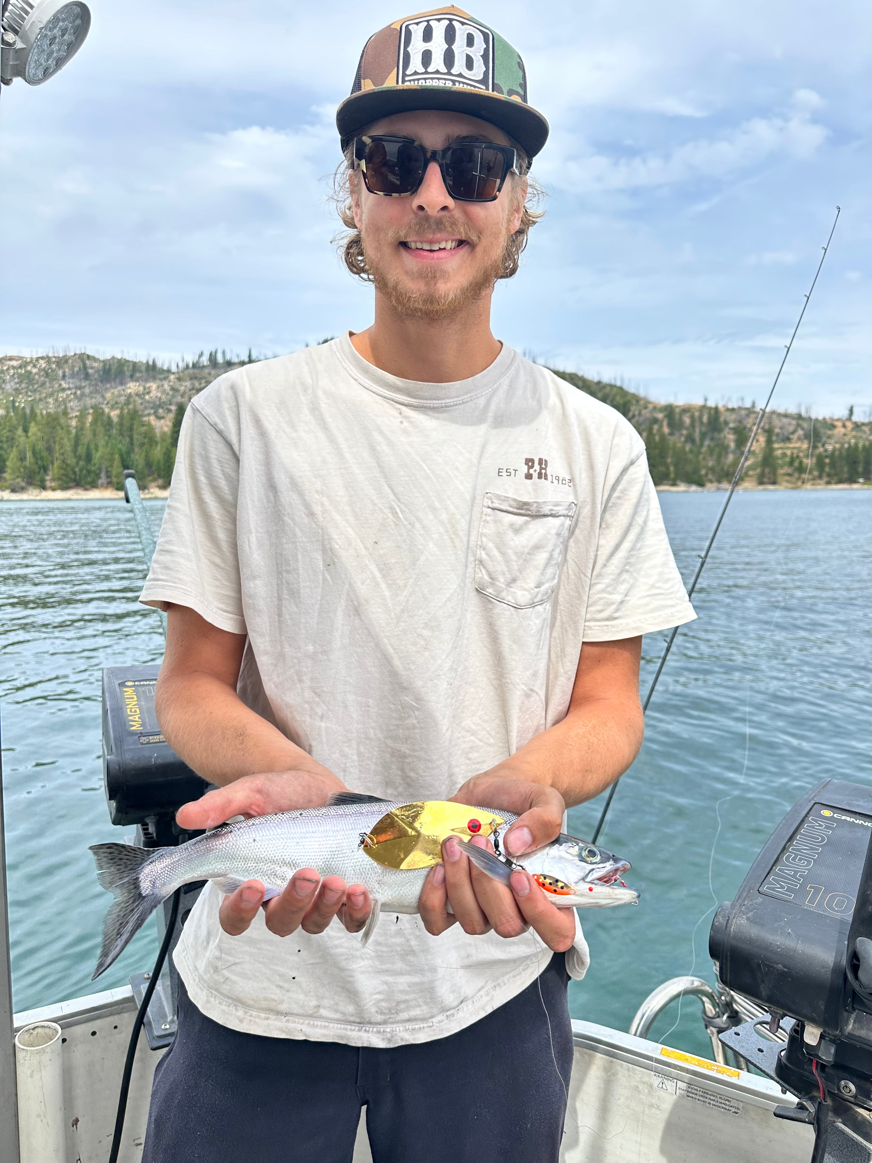 Willow Leaf Dodger 4" - Kokanee & Trout