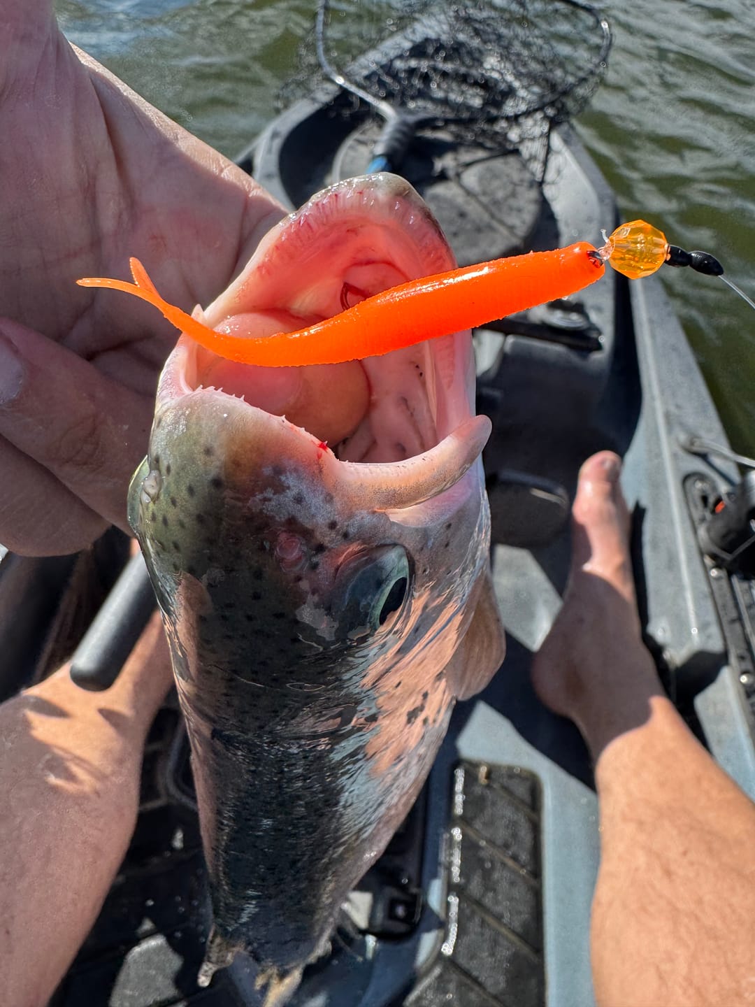 Trix Minnows - 5 pack