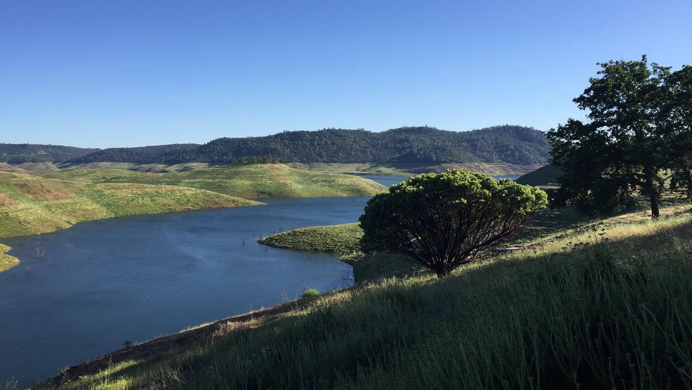 New Melones Lake